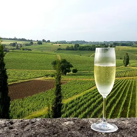 Bed & Breakfast Chateau De La Grave