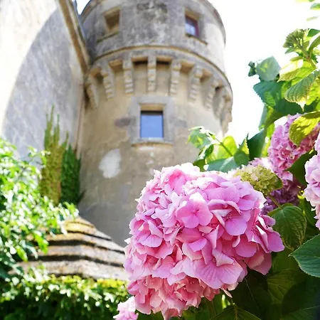 Chateau De La Grave Bourg-sur-Gironde
