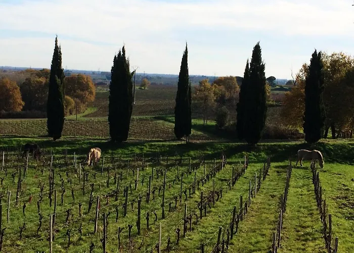 Bed and Breakfast Chateau De La Grave 4*